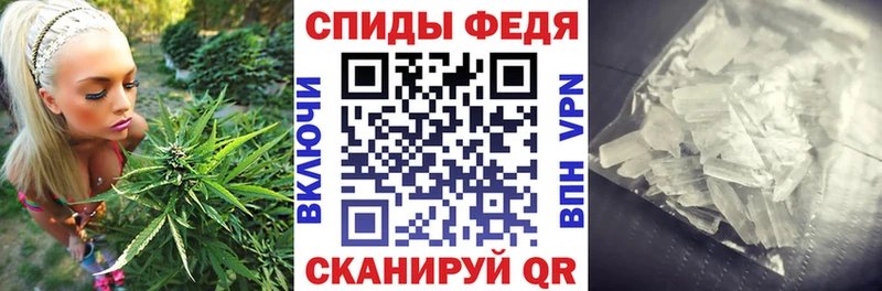 Amphetamine Розовый Аркадак