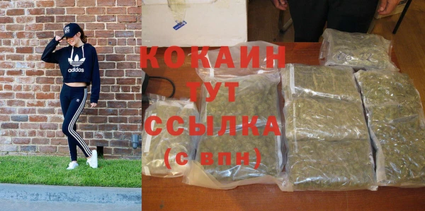 ПСИЛОЦИБИНОВЫЕ ГРИБЫ Арсеньев