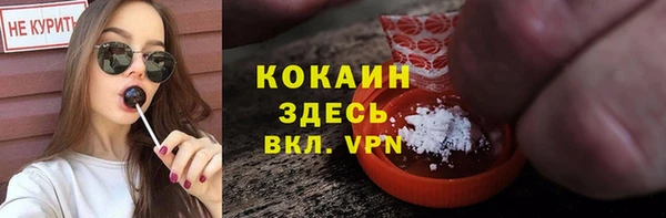 прущие грибы Армянск