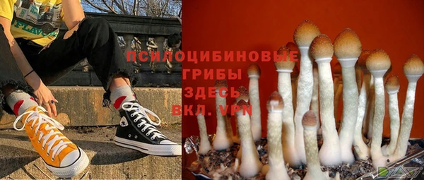 ПСИЛОЦИБИНОВЫЕ ГРИБЫ Арсеньев