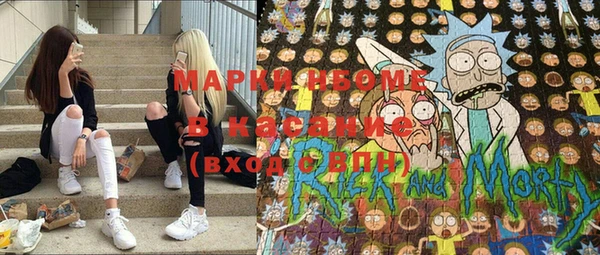 прущие грибы Армянск