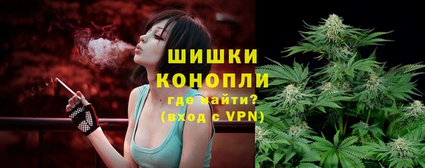 прущие грибы Армянск
