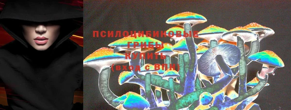ПСИЛОЦИБИНОВЫЕ ГРИБЫ Аркадак
