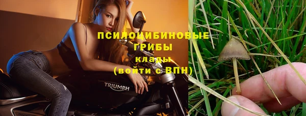ПСИЛОЦИБИНОВЫЕ ГРИБЫ Арсеньев