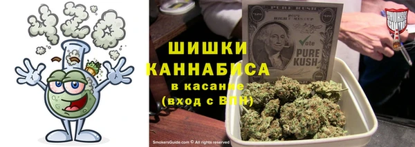 ПСИЛОЦИБИНОВЫЕ ГРИБЫ Арсеньев