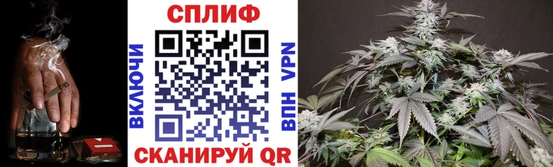 mega ТОР  Аркадак  Бошки Шишки планчик 